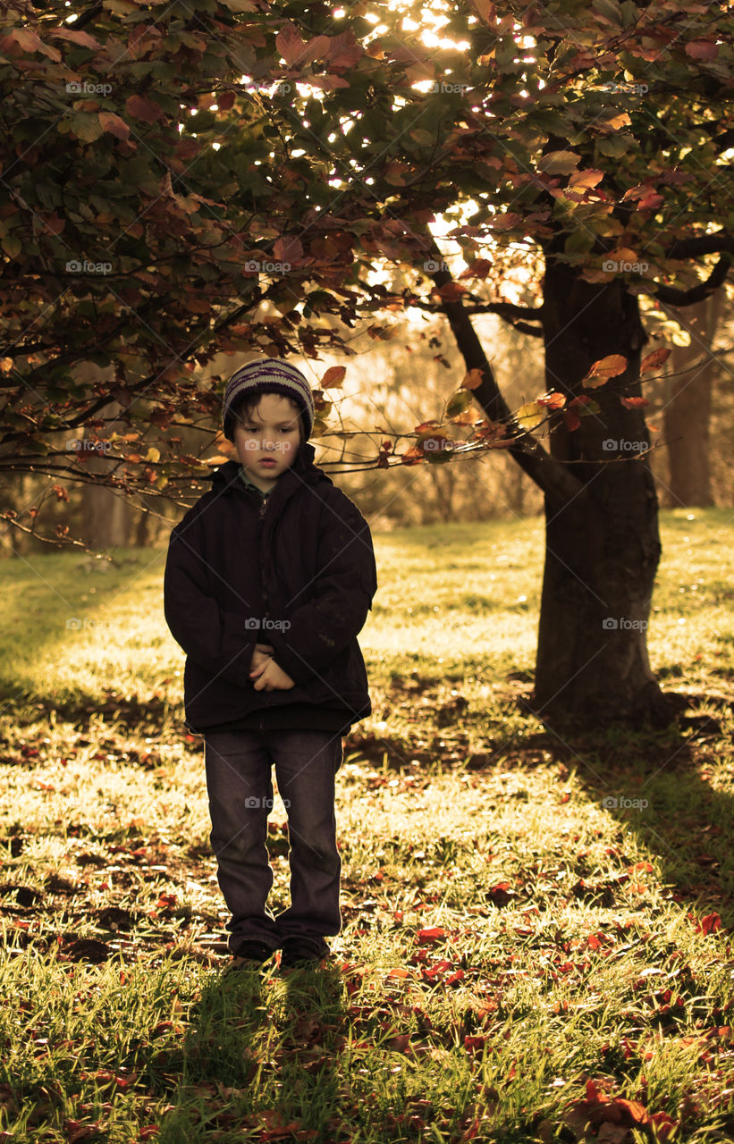 Little boy walking in the park