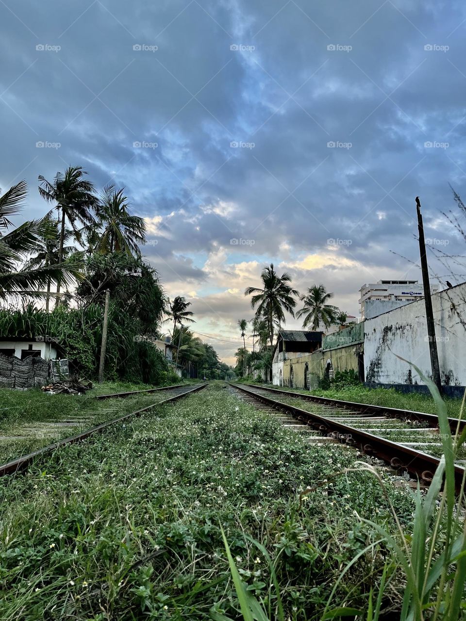 Colombo Railway: train is still vital for many Sri Lankans living outskirts of Colombo for their daily livelihoods. 