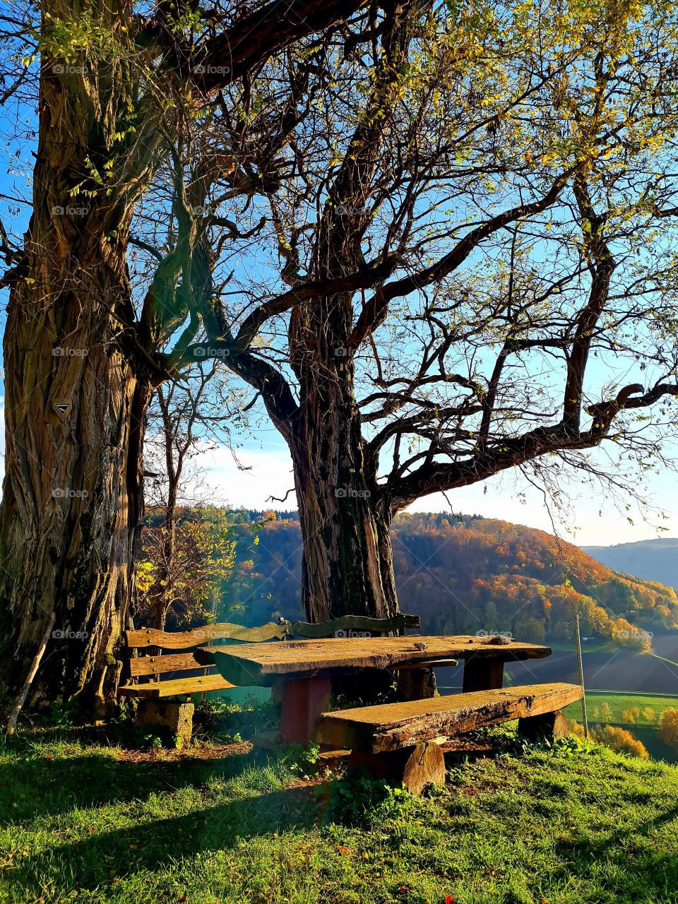 schönes Wetter  , schöne Natur