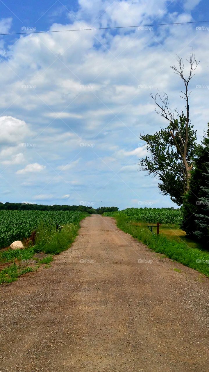 No Person, Landscape, Sky, Nature, Outdoors