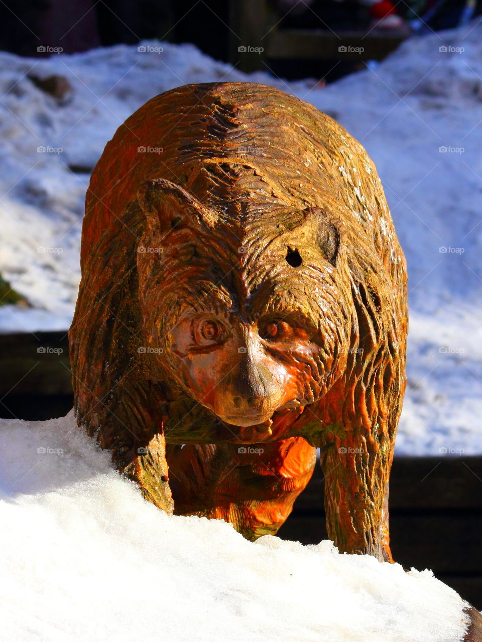 Wood curving raccoon 