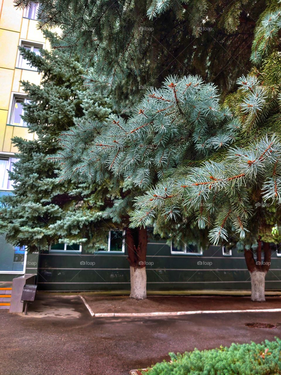 Rainy days, september