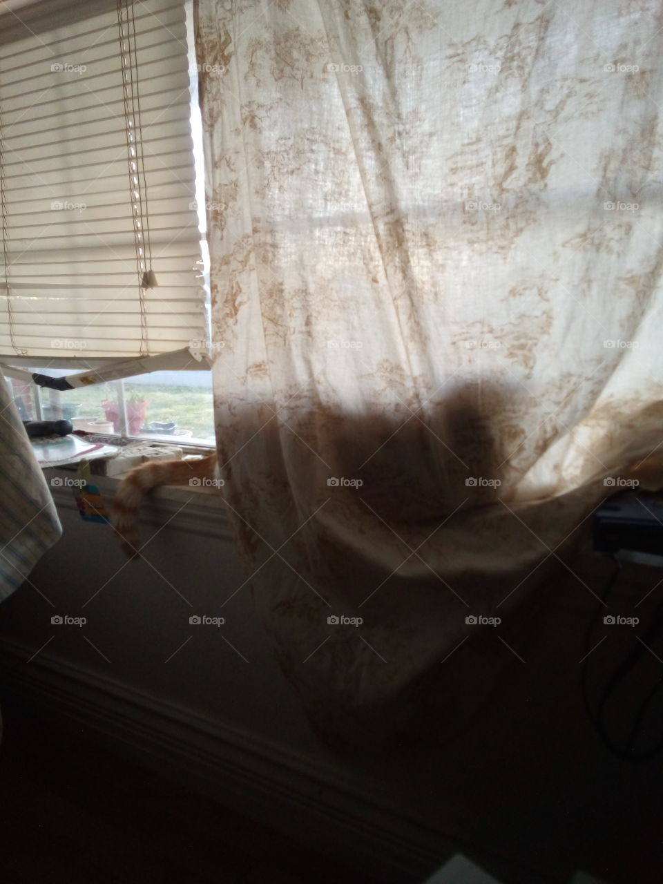 haha you can't see me watching the little birdie's outside. I'm hiding from you guys!