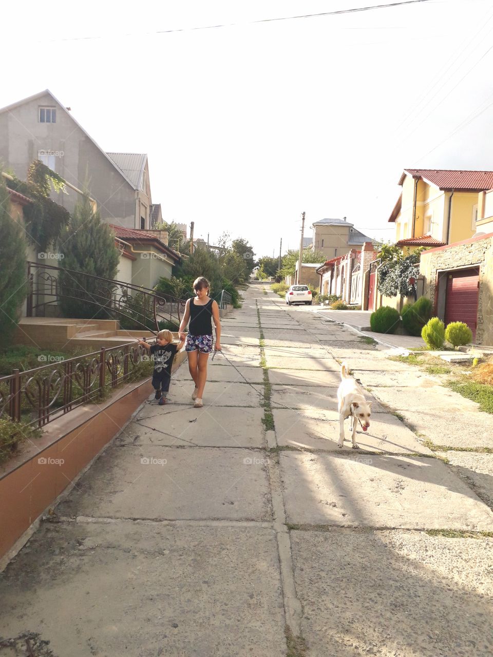 walking with a dog