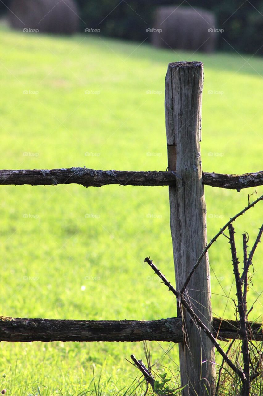 Wooden fence at the farm. 