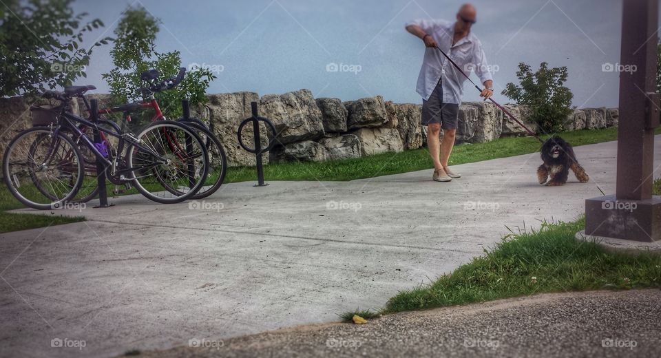 Man and Dog. Caught in the Leash