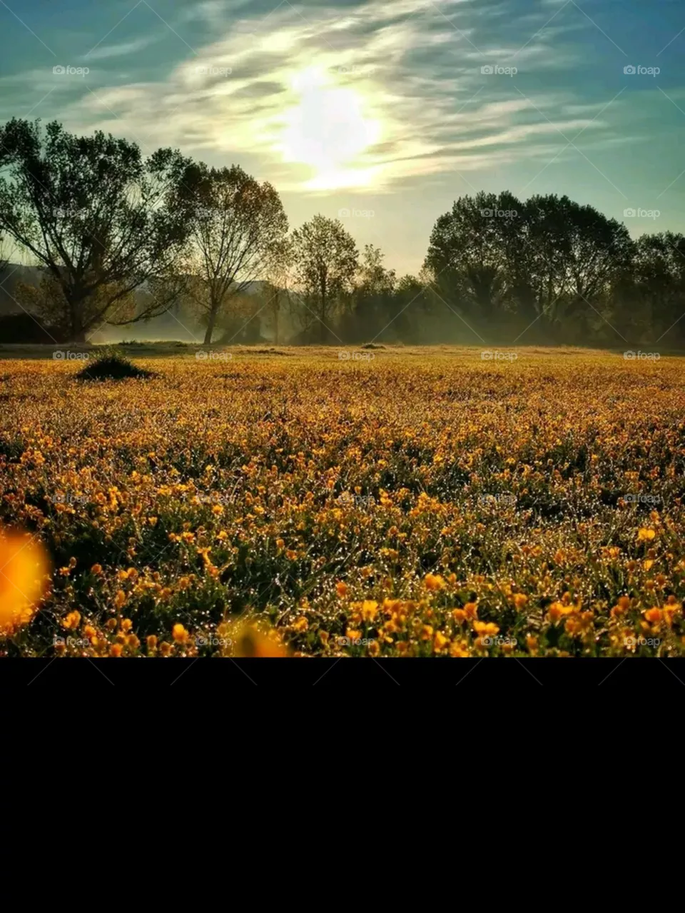nature takes place