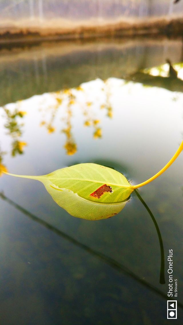 in water