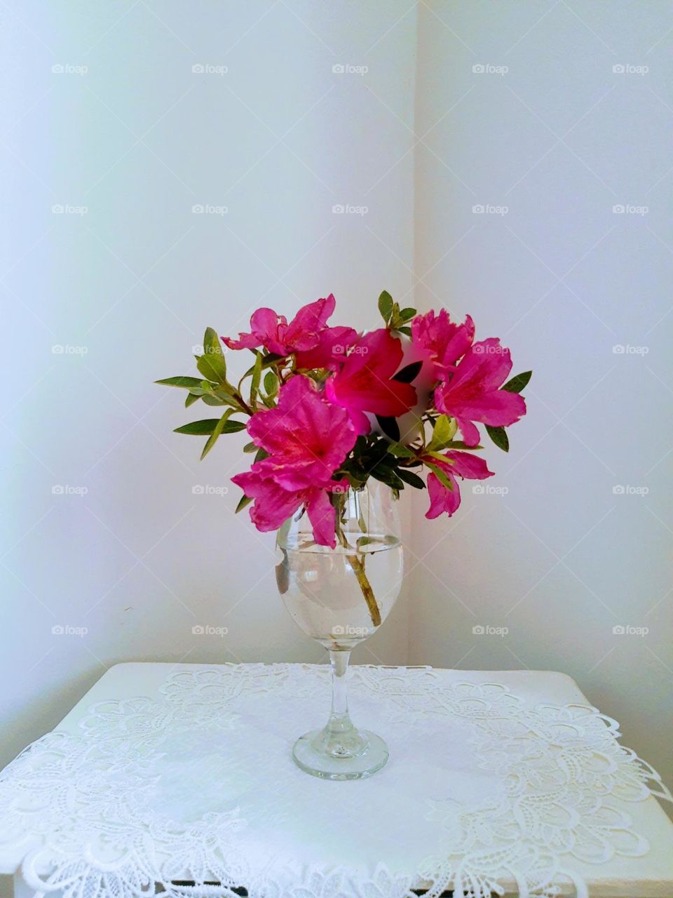 azaleas in a vase