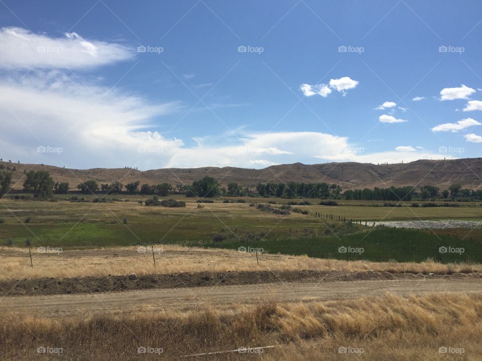 Landscape, No Person, Cropland, Outdoors, Agriculture