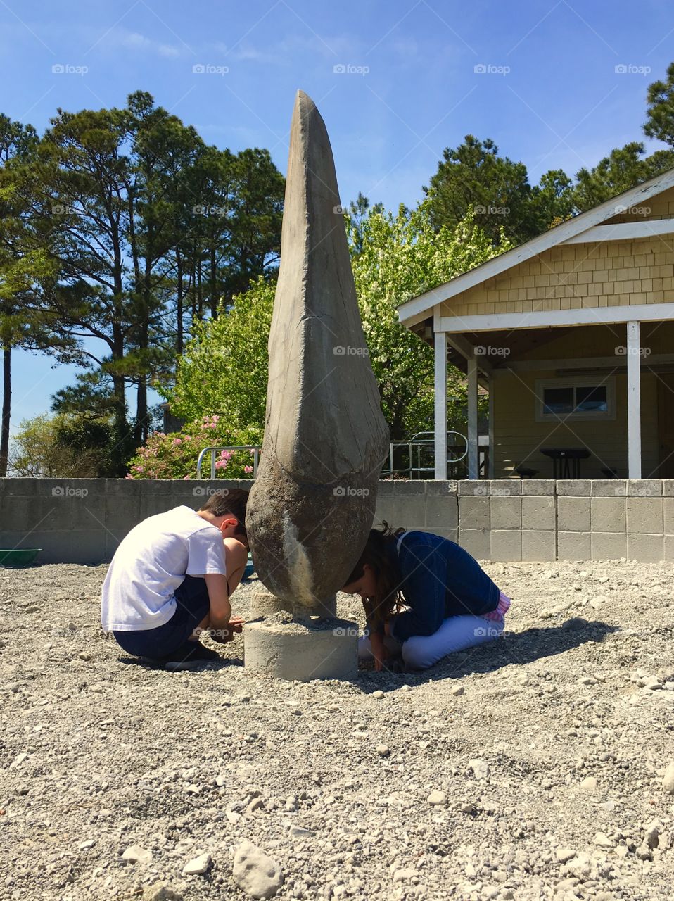 Searching for shark teeth at the Aquarium on Roanoke Island. 