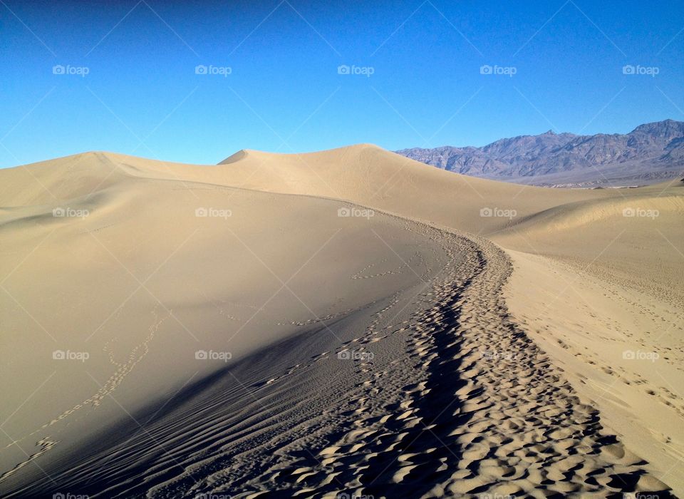 Walking path on ridge of sand dunes