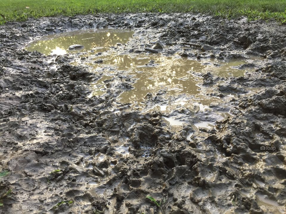 Mud Paw
