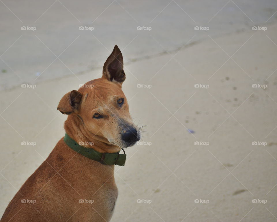 oh that look on his eyes...