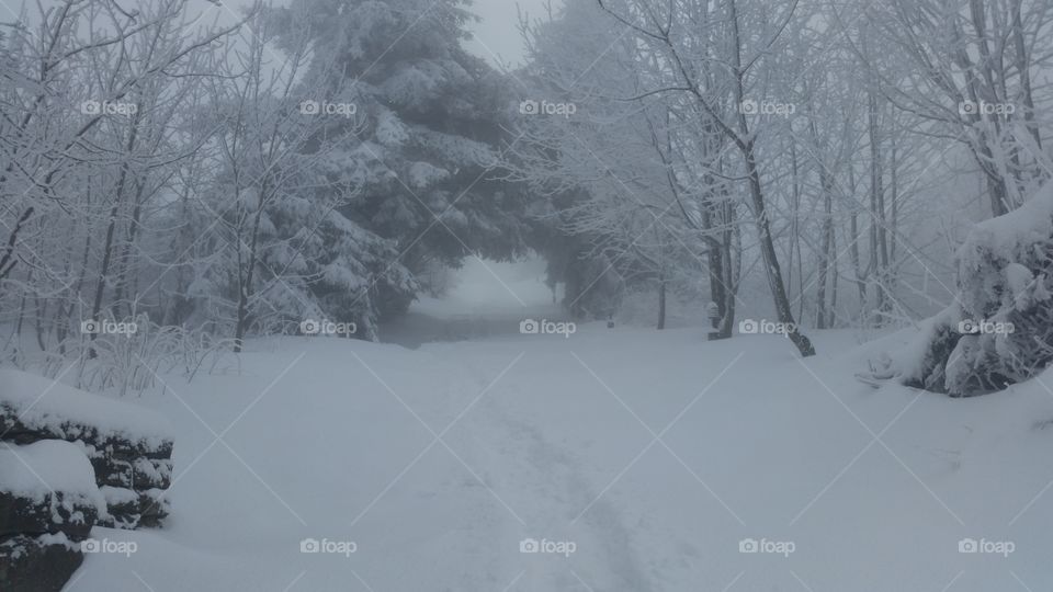 black and white . our climb was 1000 steps from the snow but it was just an uphill