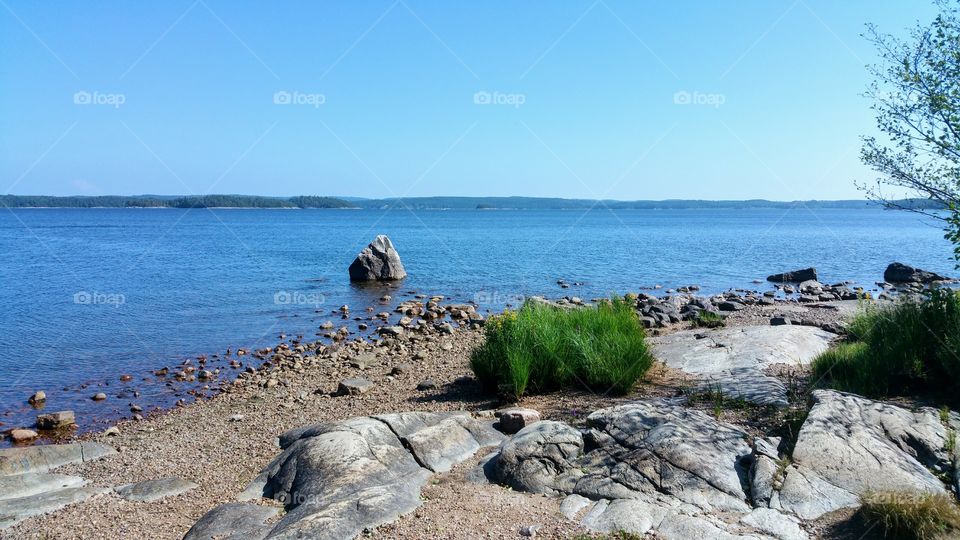 Grass on a rocky shore by the lake