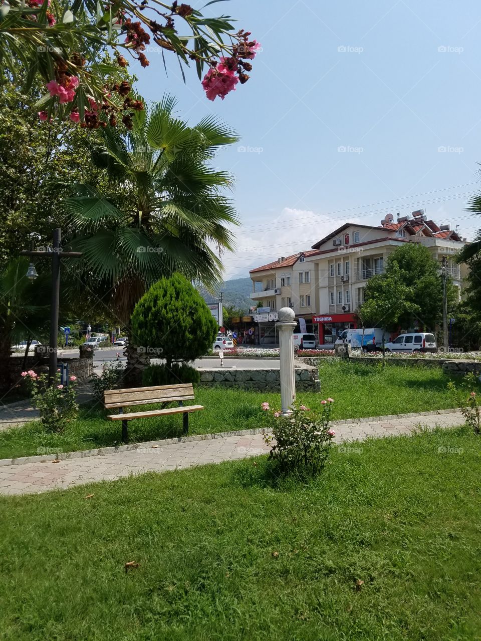 flower trees in a park in fethiye turkey