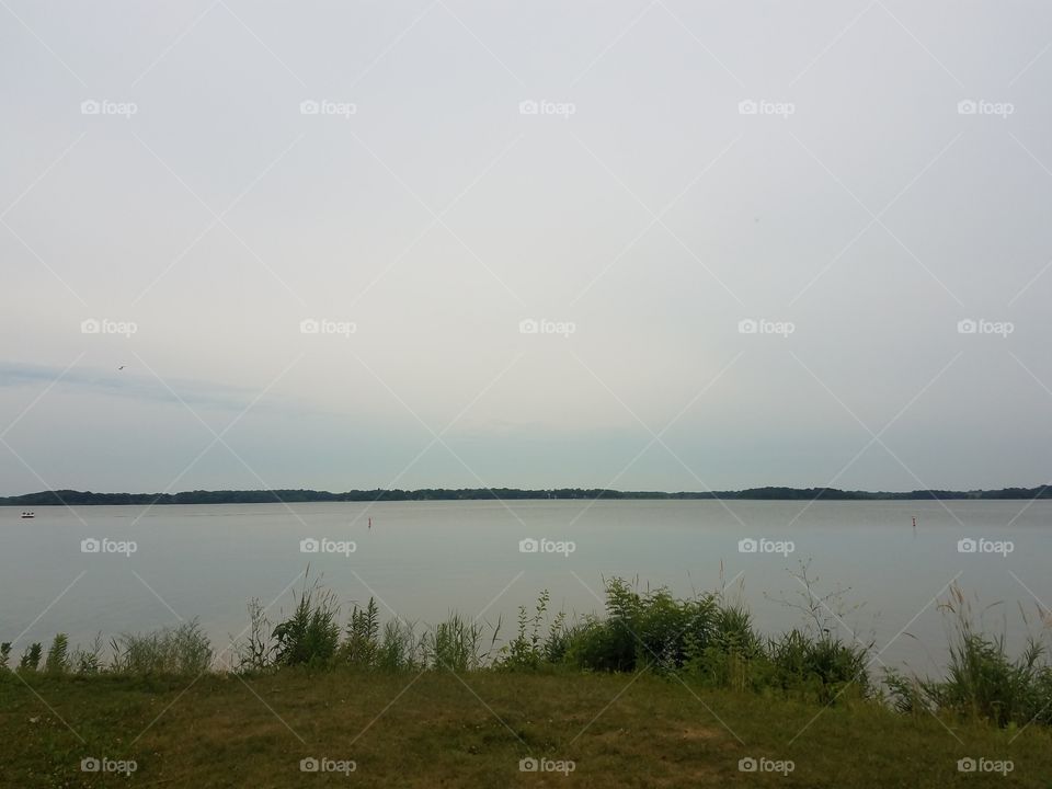 Water, Landscape, Lake, River, Tree