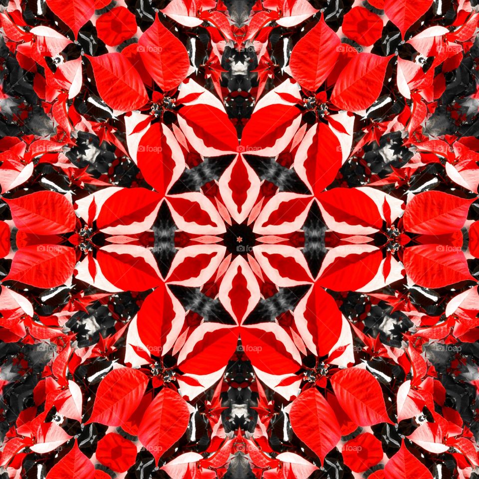 red leaves kaleidoscope
