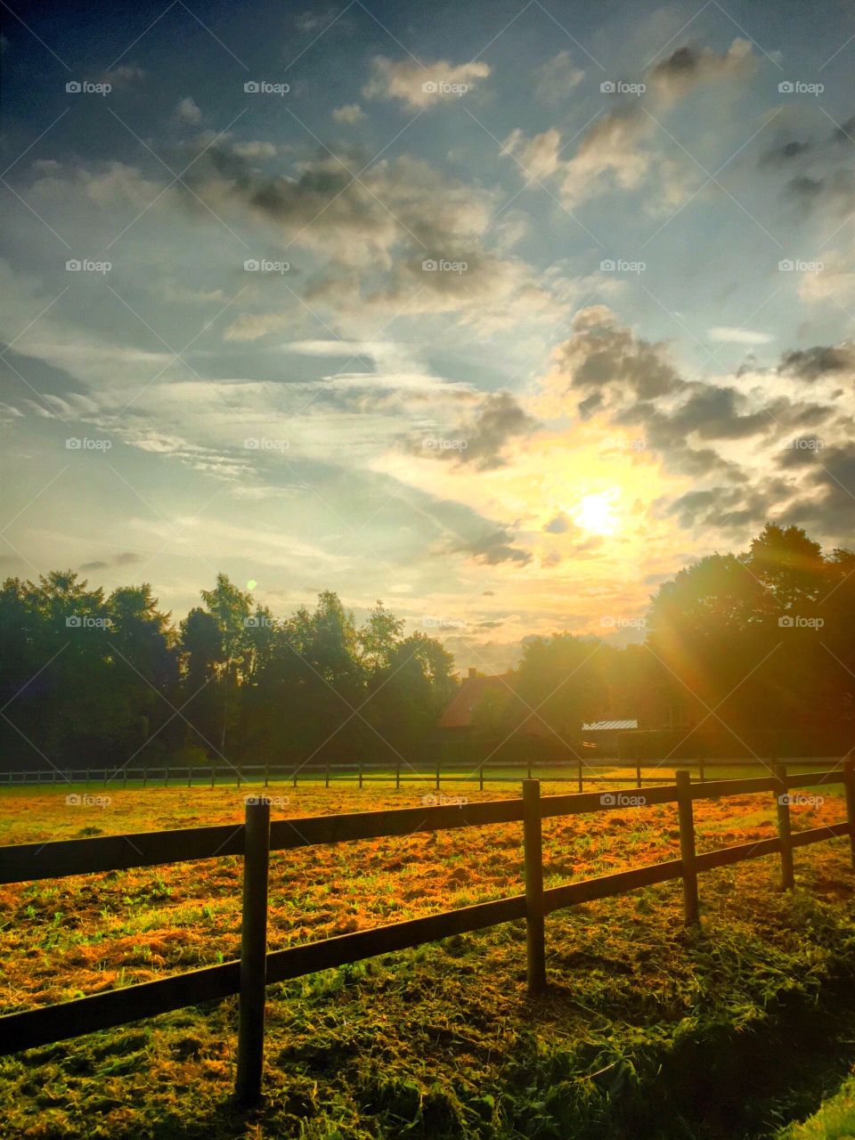 Sunrises and fences