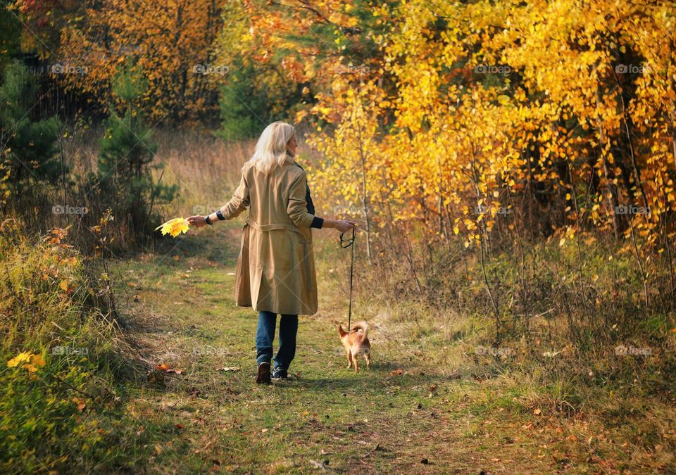 woman walking with dog in autumn forest