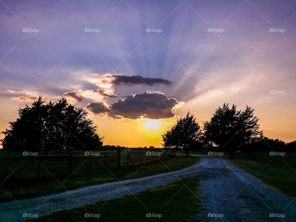 Purple Sunset Rays