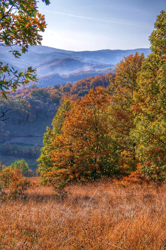 Landscape - Serbia