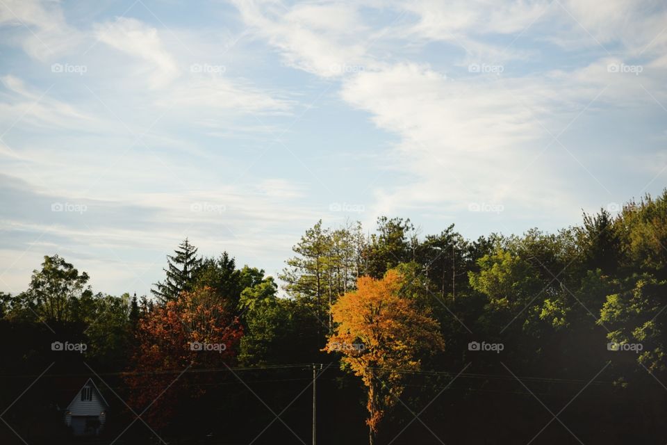 it's that time of the year when leaves start to change.  beautiful fall