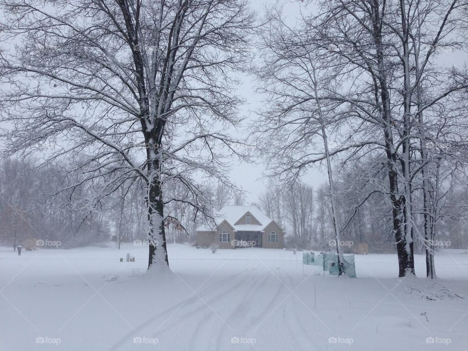 Winter blast in Michigan but in black and white as the snow blows