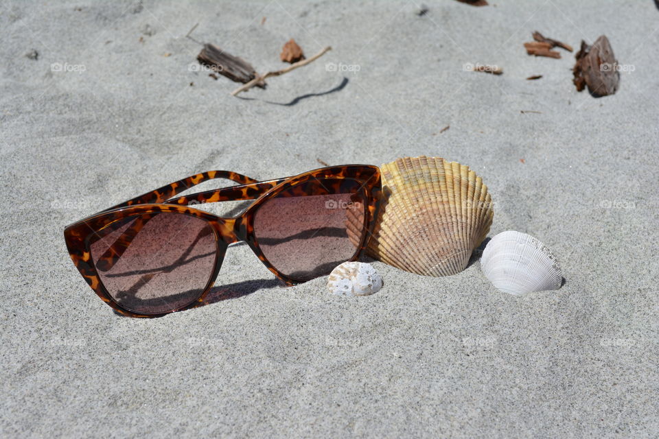 Sunglasses and Shells on the Beach, Vacation 