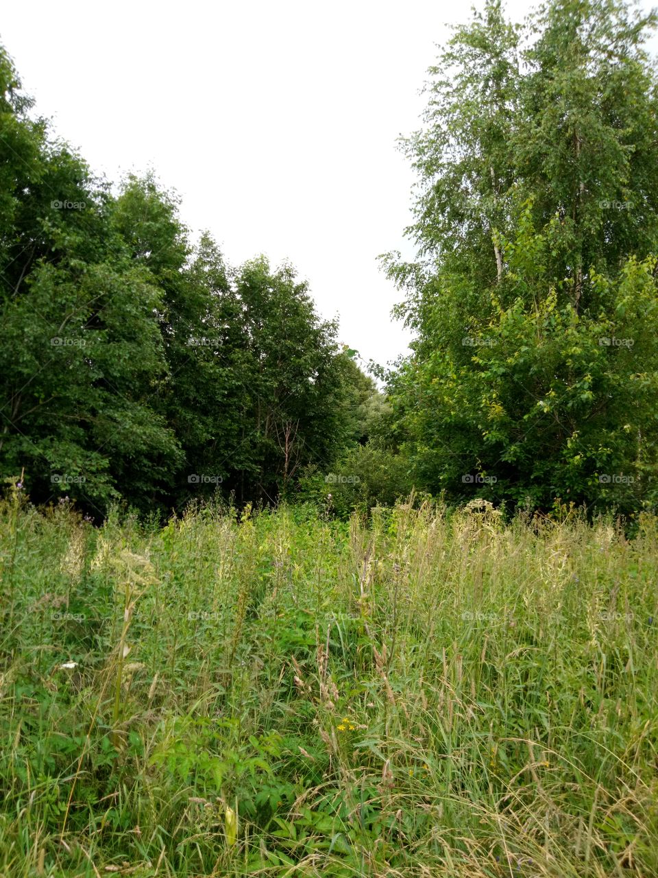 природа России