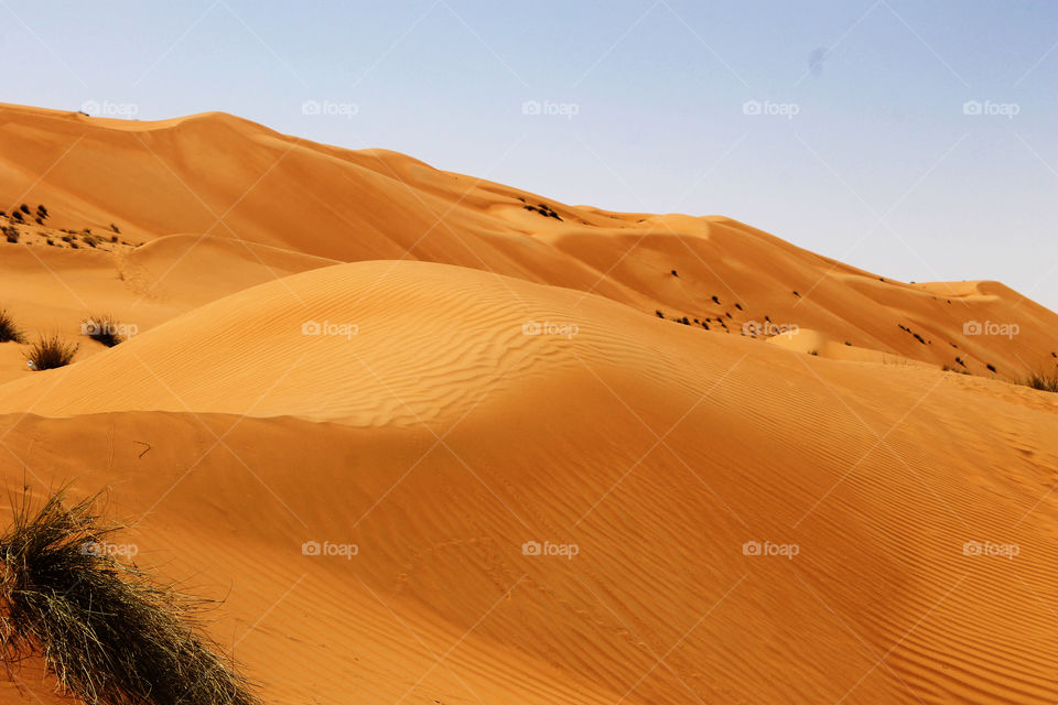 Dune sands at Wahiba Sands desert during hot summer at muscat oman