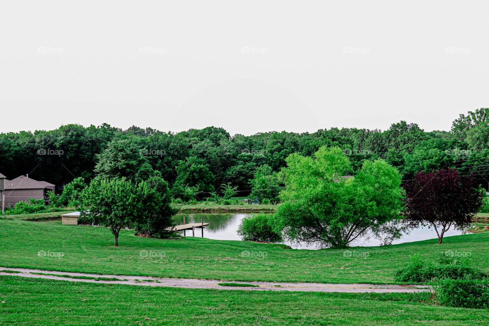 beautiful green around a pond