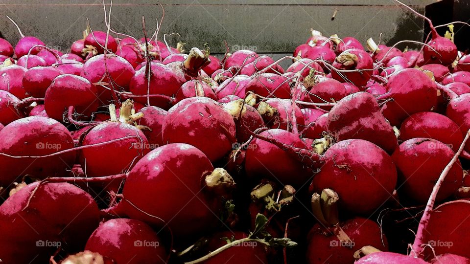 Radish