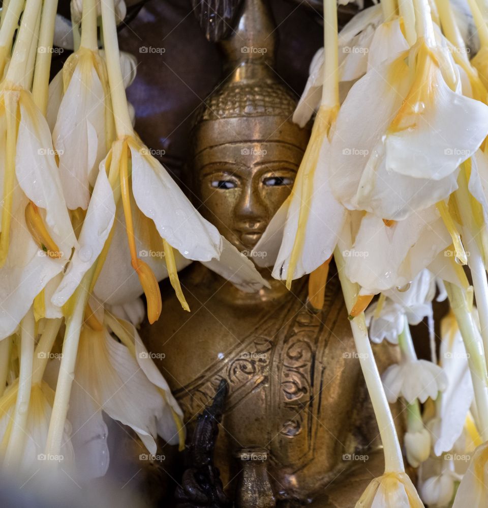 Buddha behind flowers