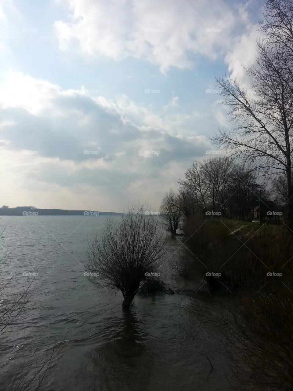 Nature 