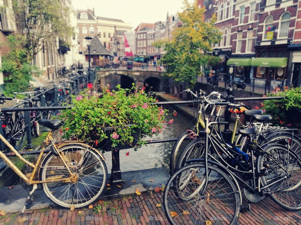 Utrecht in den Niederlanden