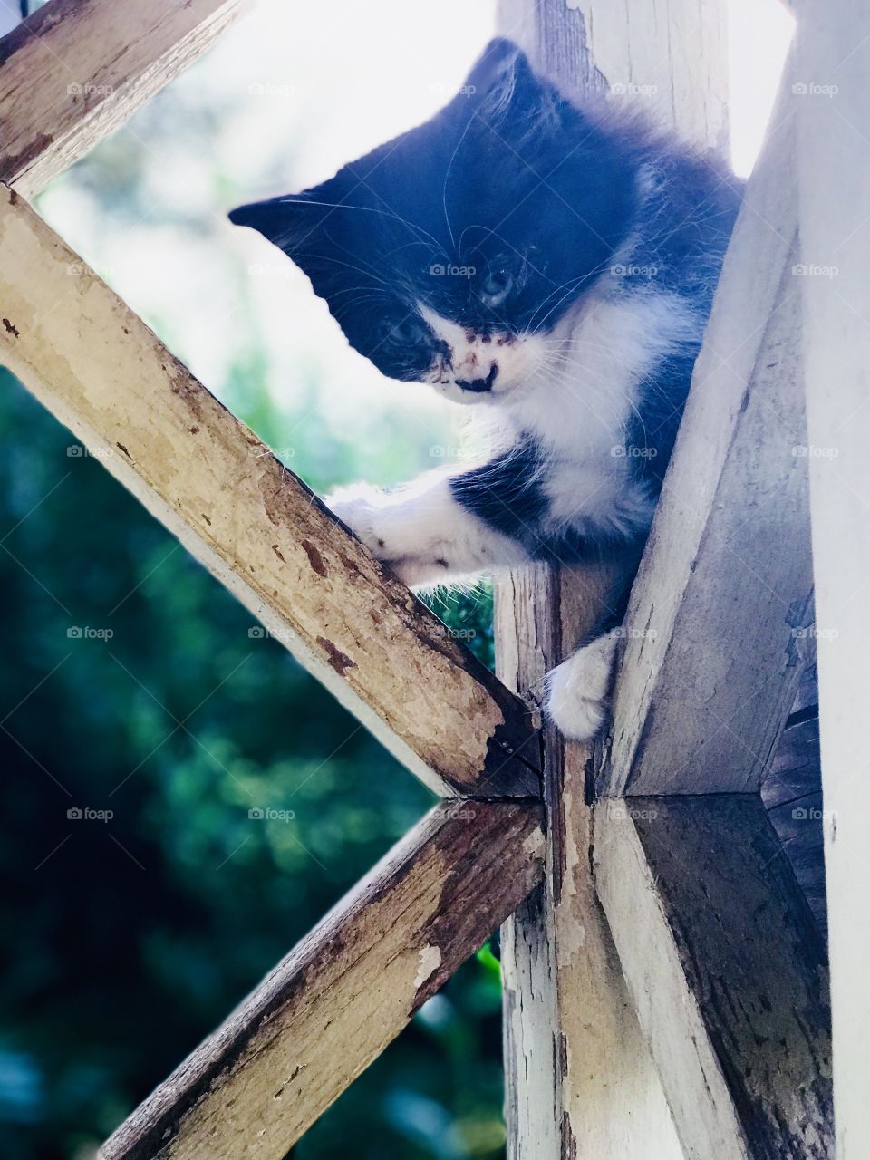 I’m still holding on here 