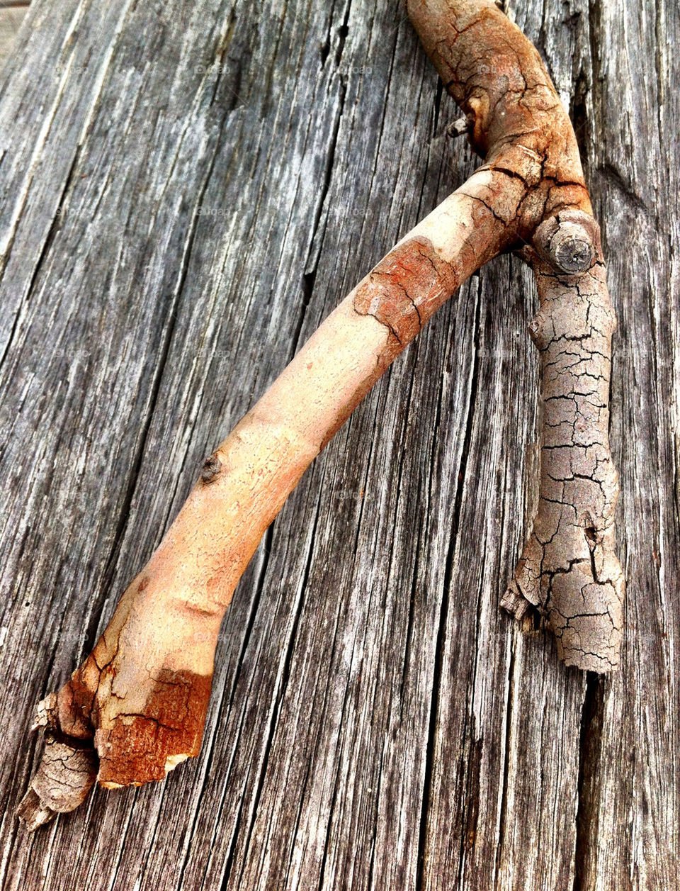 Wood, Wooden, Log, Bark, Tree