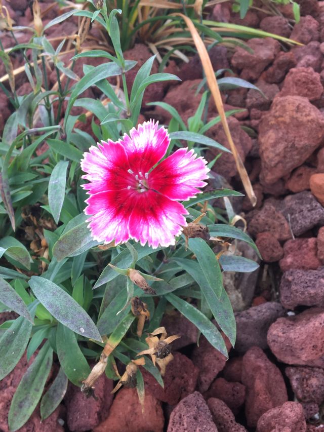 Beautiful colors 