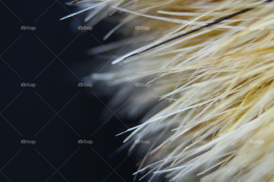 abstract macro fibers