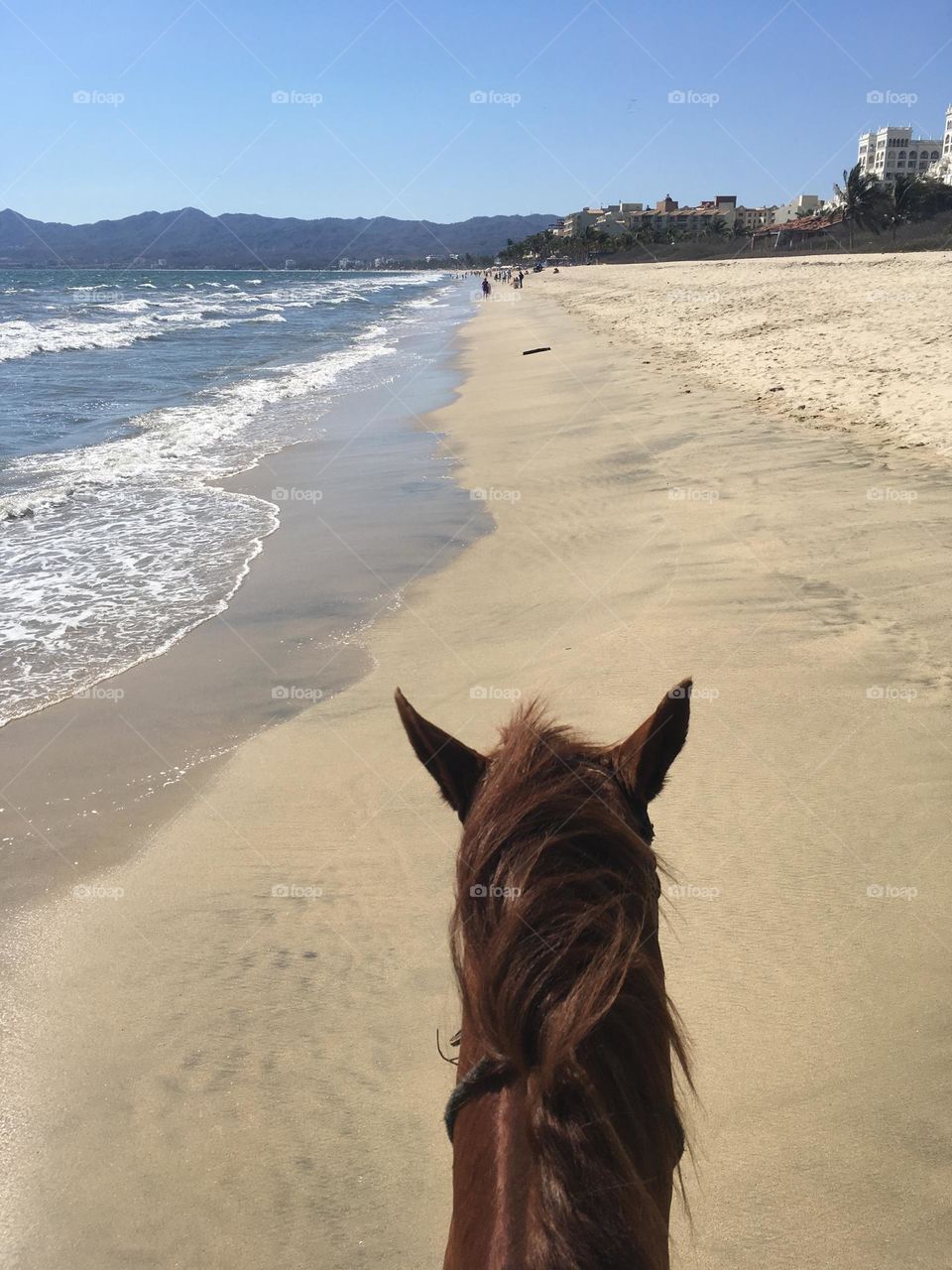 Coastline on horse back