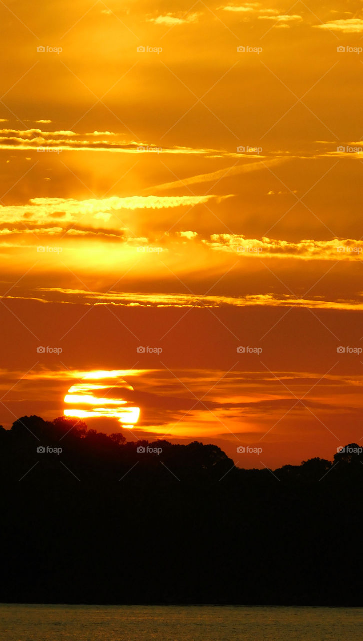 Silhouette of trees against dramatic sky