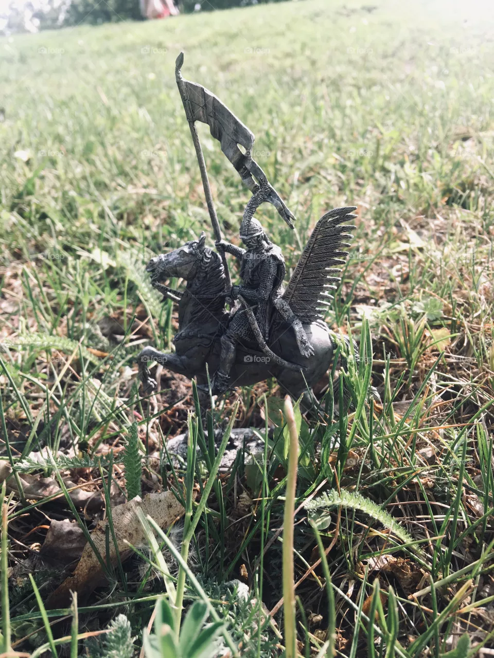 A knight