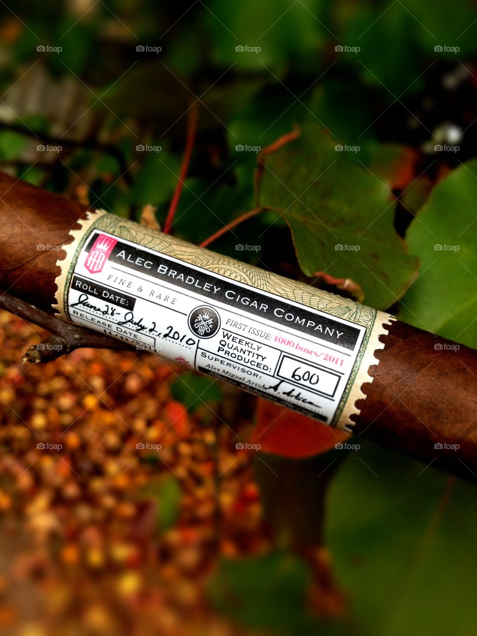 Cigar with large band with tree in background.