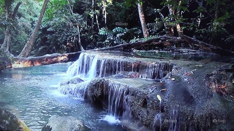 Water, Waterfall, Stream, Nature, River
