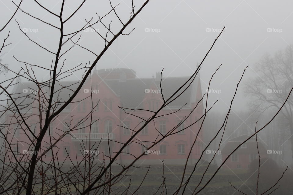 Castle in the fog