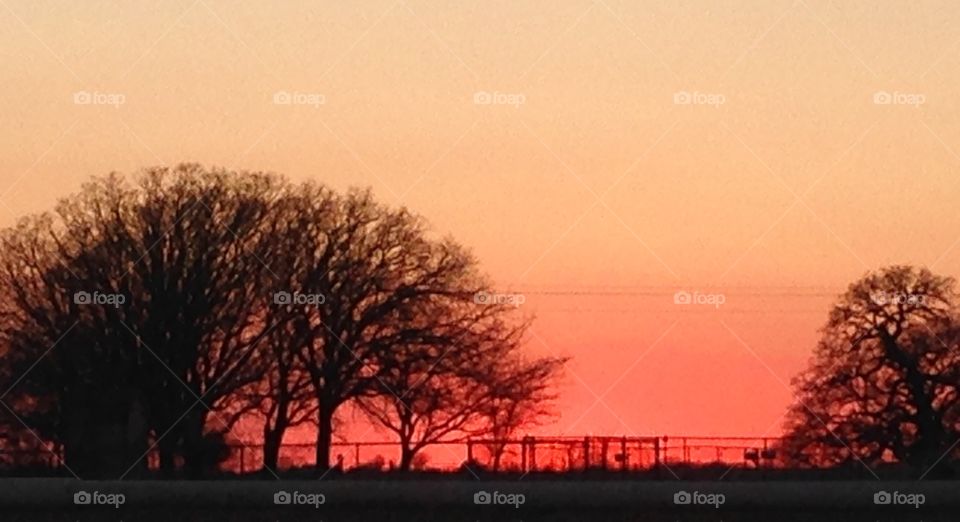 Pink sky at sunset. 