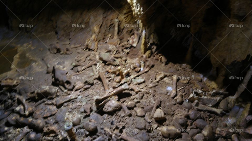 Bones in a dark underground cave in Romanian mountains