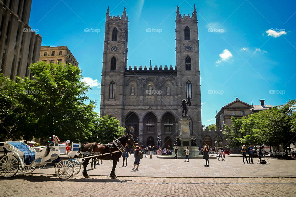 Notre dame Canada
